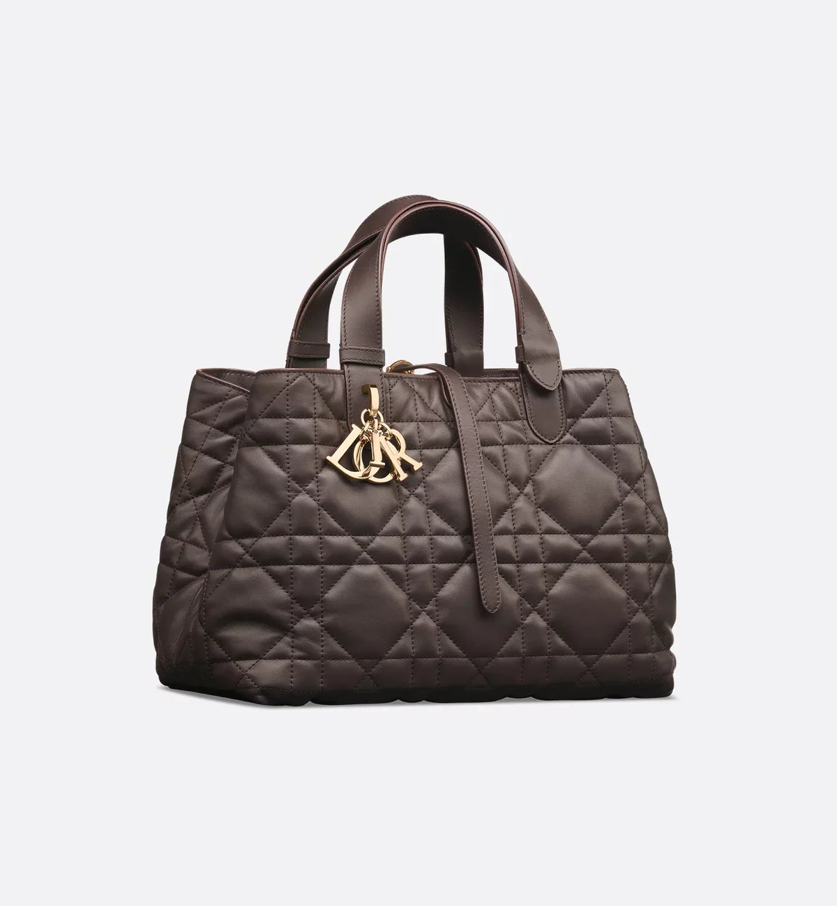 Bolsa Dior Toujours média