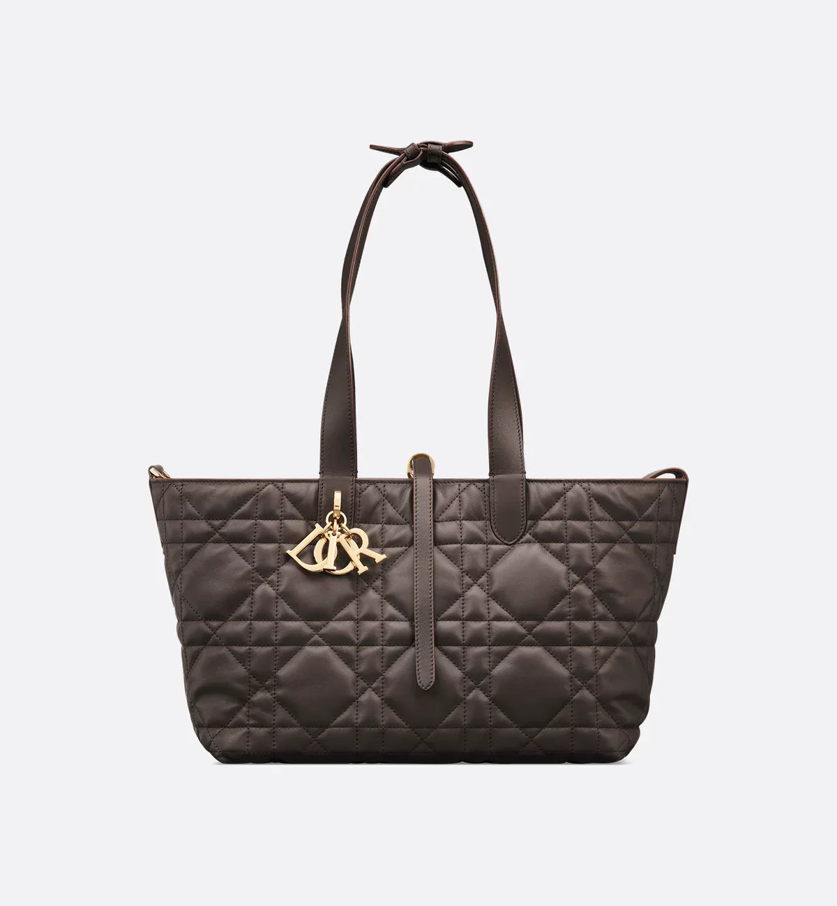 Bolsa Dior Toujours média