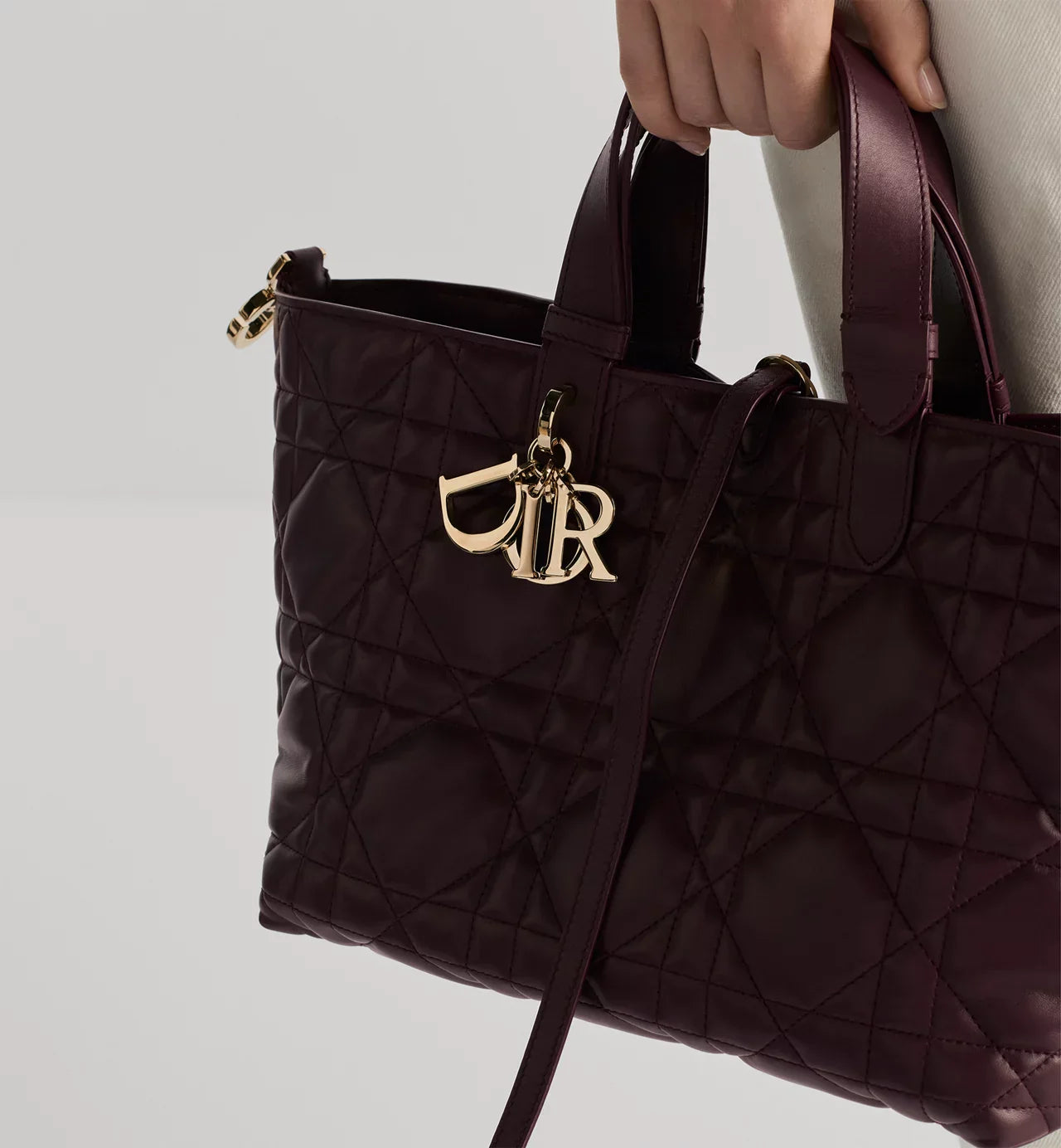 Bolsa Dior Toujours média