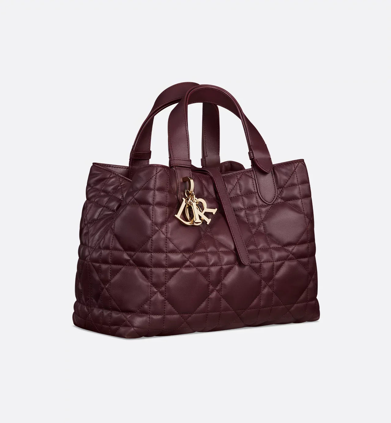 Bolsa Dior Toujours média