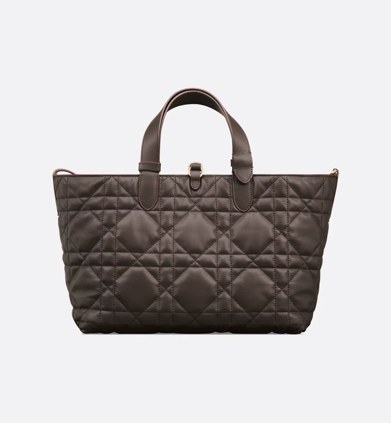 Bolsa Dior Toujours média